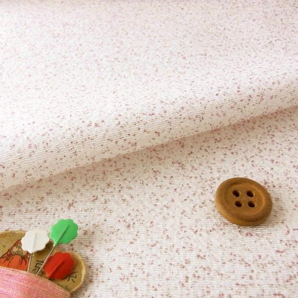 ߂񐶒n sNU炵 10cmP ؂蔄