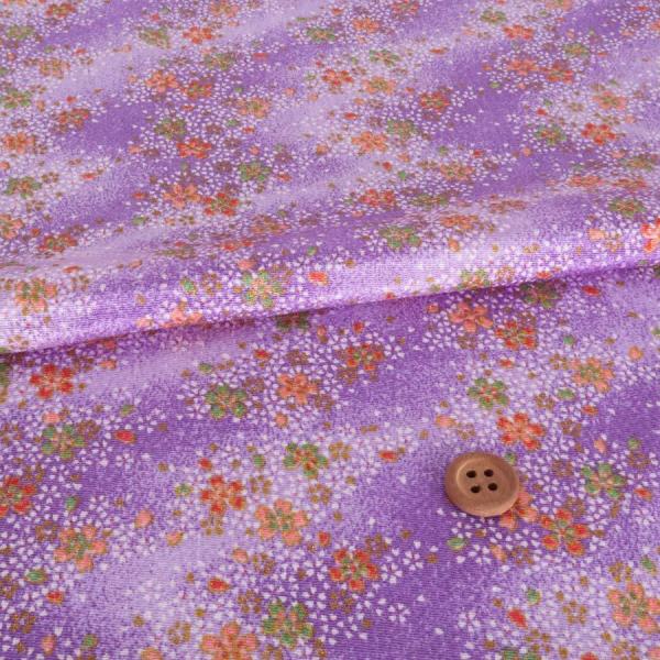 ߂񐶒n () 10cmP ؂蔄