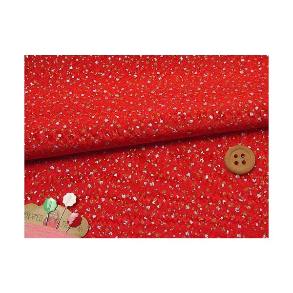 ߂񐶒nE₠() 10cmP ؂蔄