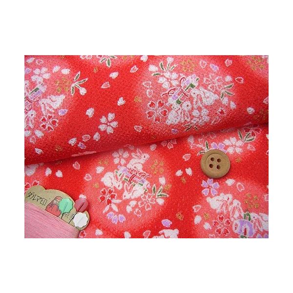 ߂񐶒nE󂤂() 10cmP ؂蔄