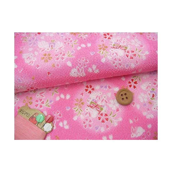 ߂񐶒nE󂤂(sN) 10cmP ؂蔄