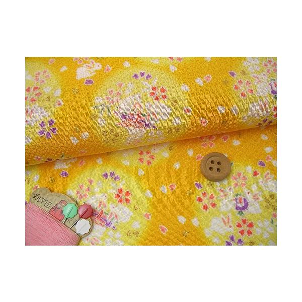 ߂񐶒nE󂤂(F) 10cmP ؂蔄