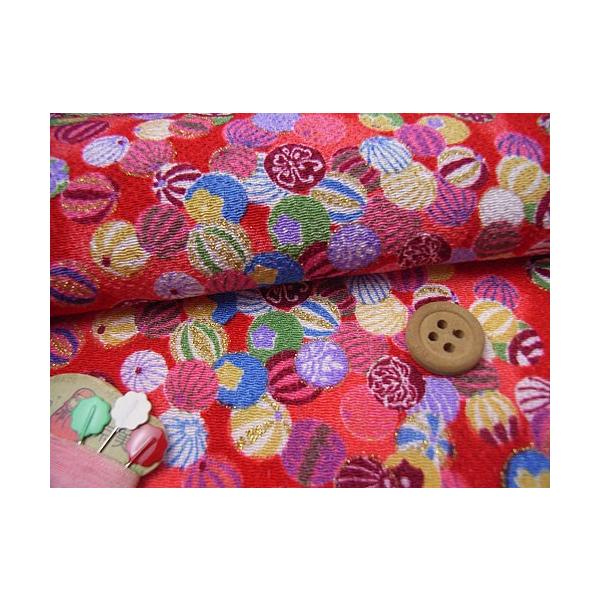 ߂񐶒nE܂() 10cmP ؂蔄