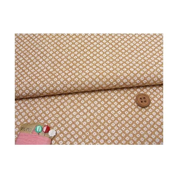 ߂񐶒nEDcڂ() 10cmP ؂蔄