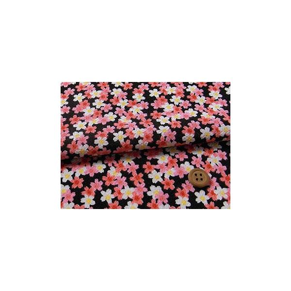 ߂񐶒nE() 10cmP ؂蔄