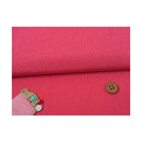 n߂񐶒n() 10cmP ؂蔄