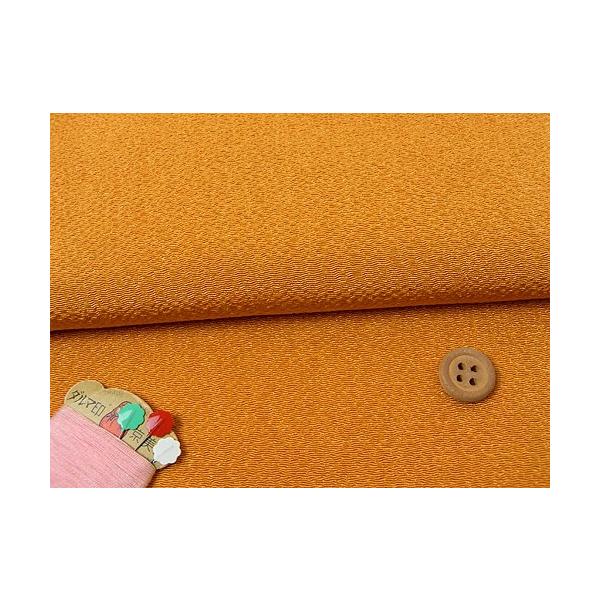 n߂񐶒n() 10cmP ؂蔄