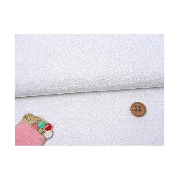 n߂񐶒n() 10cmP ؂蔄