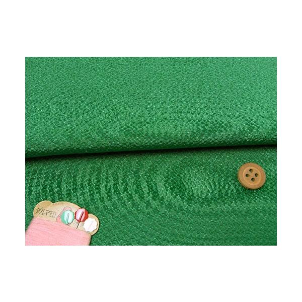 n߂񐶒n() 10cmP ؂蔄