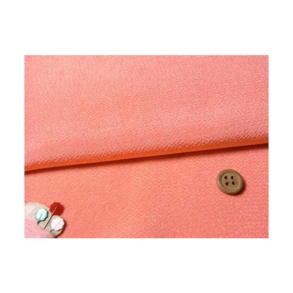 n߂񐶒n(T[sN) 10cmP ؂蔄