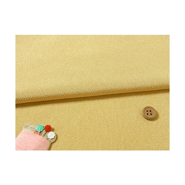 n߂񐶒n() 10cmP ؂蔄