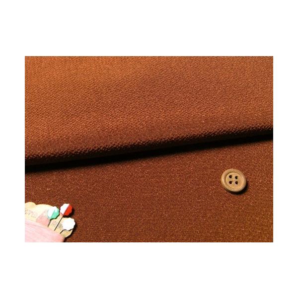 n߂񐶒n(F) 10cmP ؂蔄