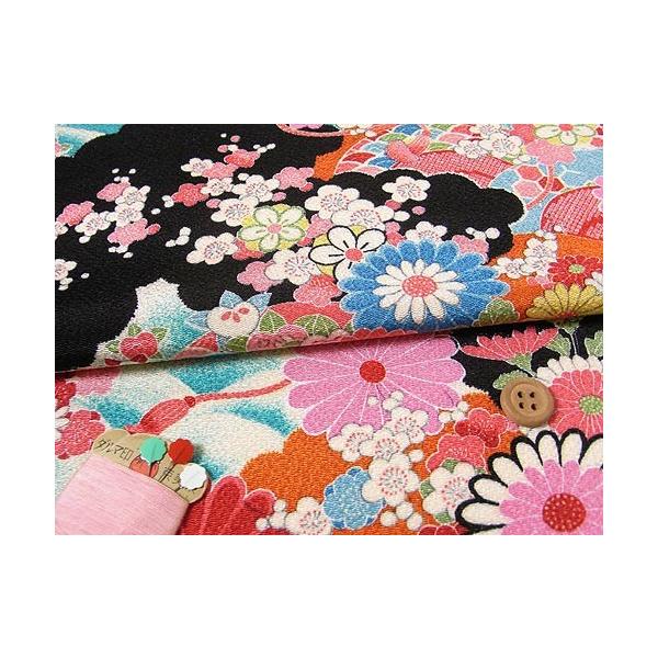 ÕzČ߂񐶒nEԎԖ͗l() 10cmP ؂蔄