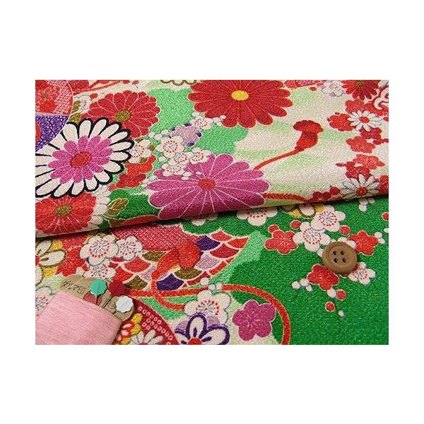 ÕzČ߂񐶒nEԎԖ͗l() 10cmP ؂蔄