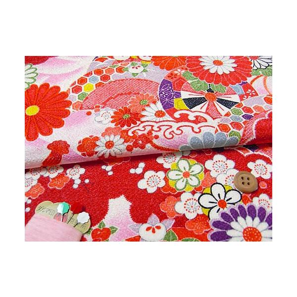 ÕzČ߂񐶒nEԎԖ͗l() 10cmP ؂蔄