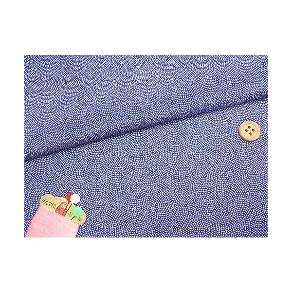 ߂񐶒nEL() 10cmP ؂蔄