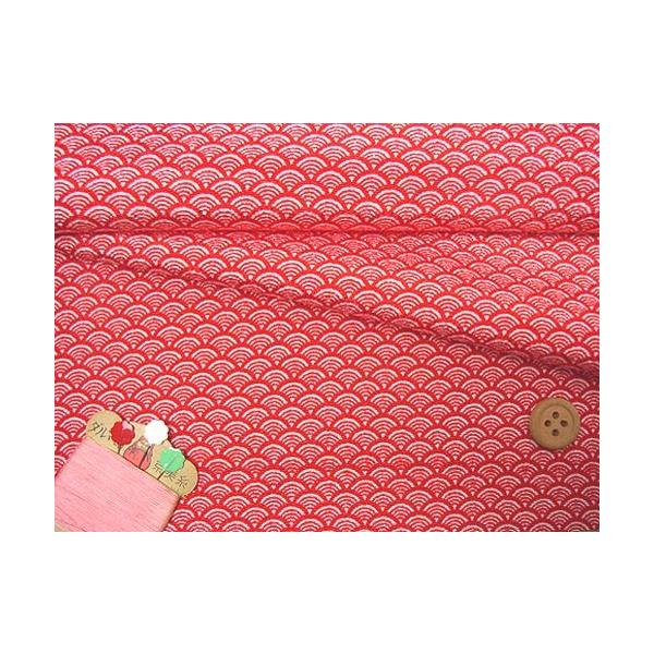 ߂񐶒nECg() 10cmP ؂蔄