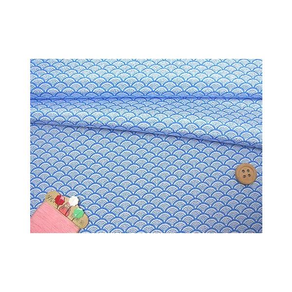 ߂񐶒nECg() 10cmP ؂蔄