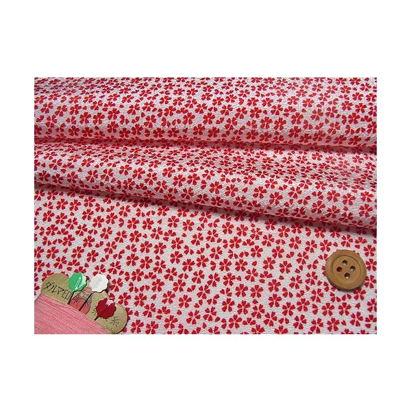 ߂񐶒nE(/) 10cmP ؂蔄