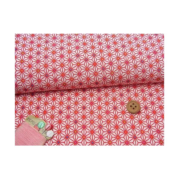 ߂񐶒nE_̗t(/) 10cmP ؂蔄