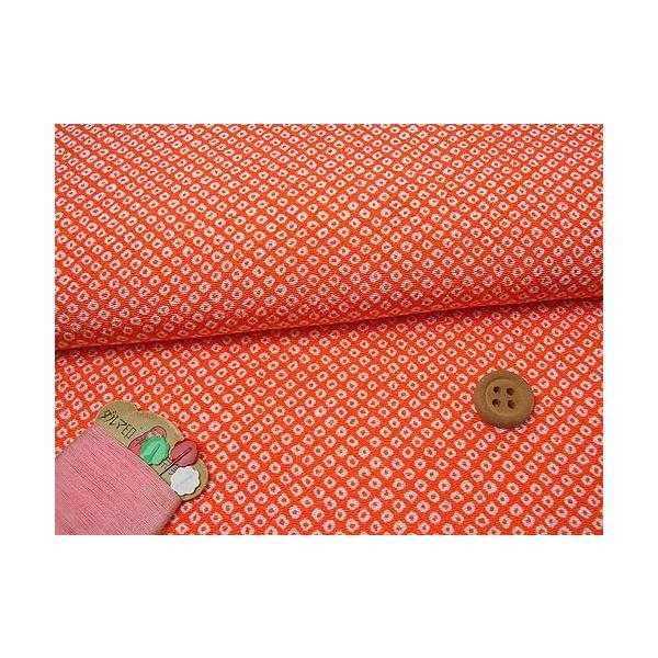 ߂񐶒nEDcڂ(IW) 10cmP ؂蔄