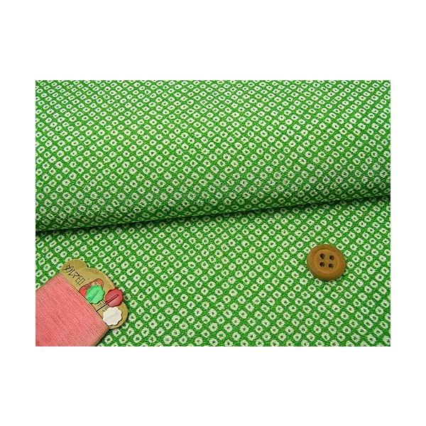 ߂񐶒nEDcڂ() 10cmP ؂蔄