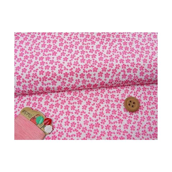 ߂񐶒nE(/sN) 10cmP ؂蔄