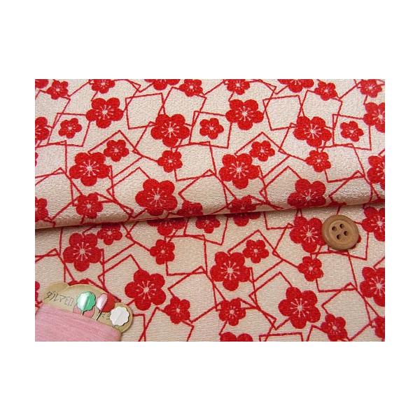 ߂񐶒nE~Ǝlp() 10cmP ؂蔄