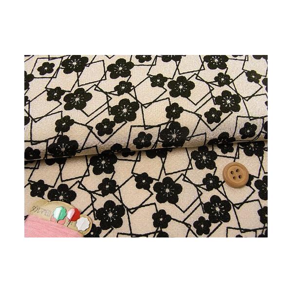 ߂񐶒nE~Ǝlp() 10cmP ؂蔄