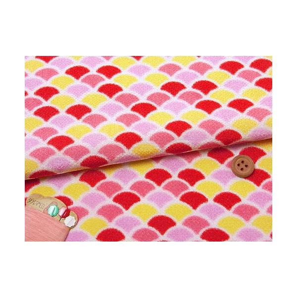 ߂񐶒nEg() 10cmP ؂蔄