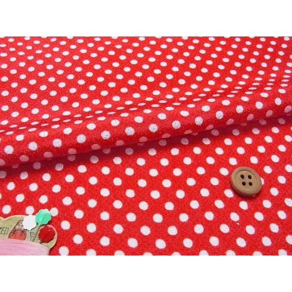 ߂񐶒nE݂() 10cmP ؂蔄