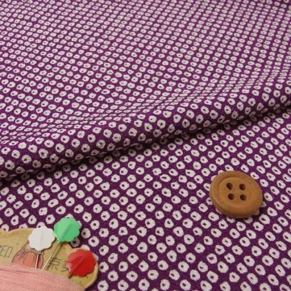 |߂񐶒nEDcڂ蕿() 10cmP ؂蔄