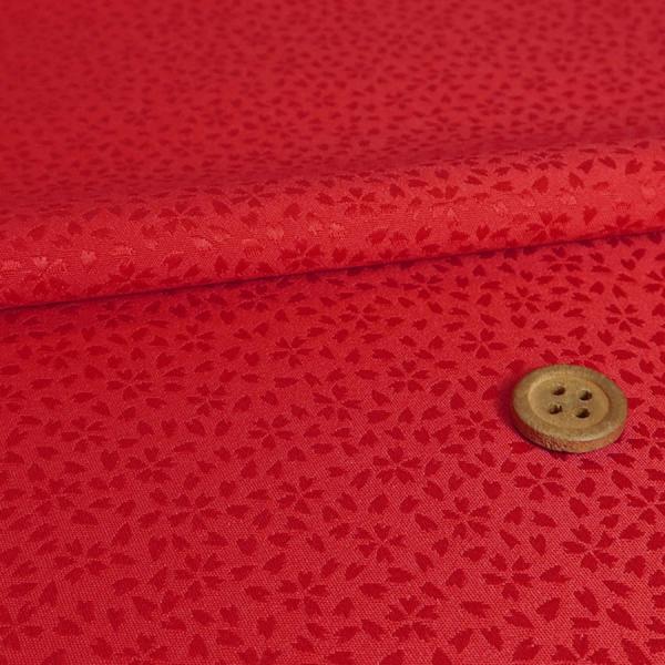 WJ[hD () 10cmP ؂蔄