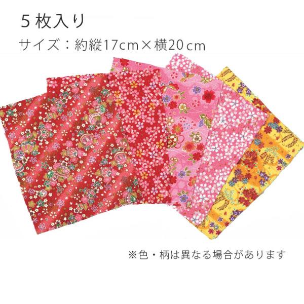 ߂FTA\[gZbgEԌn i17×20cmE5j