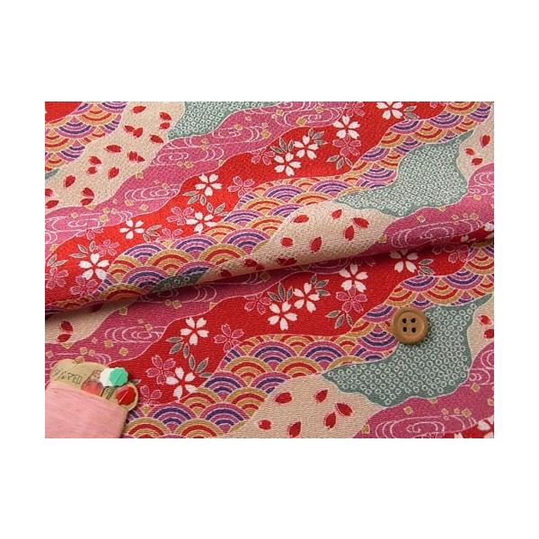 ߂񐶒nEal() 10cmP ؂蔄