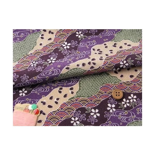 ߂񐶒nEal() 10cmP ؂蔄