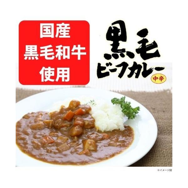 カレー レトルト 百寿薬膳 黒毛ビーフカレー中辛 １箱３食入り キャニオンスパイス 黒毛牛 薬膳　爆買