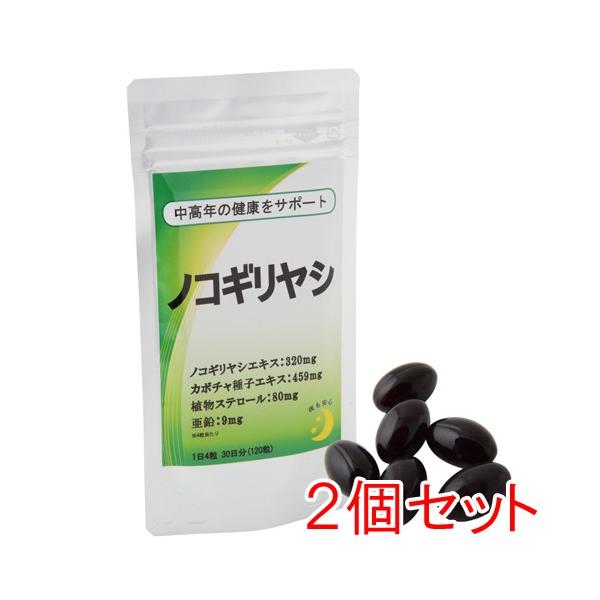 �T�v�������g �m�R�M�����V 120���i30�����j 2�Z�b�g �z�T�@����