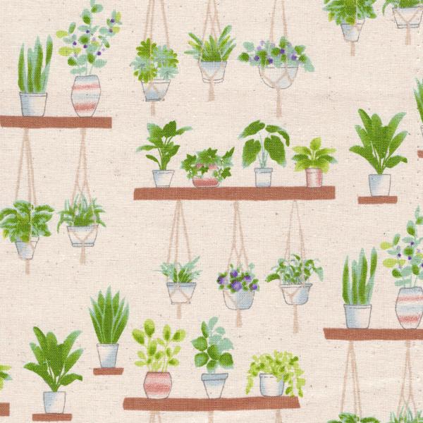 観葉植物 アウトレットの人気商品 通販 価格比較 価格 Com