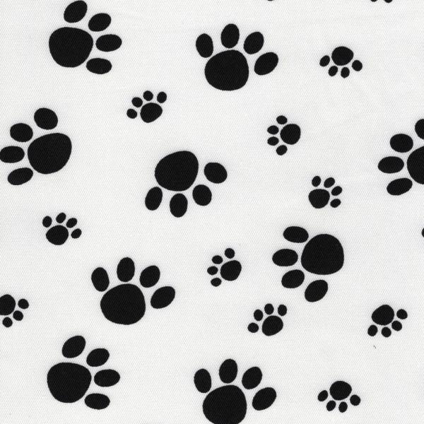 cC   zCgnn 4F 1mP n z   Ck Ck  ʕ  