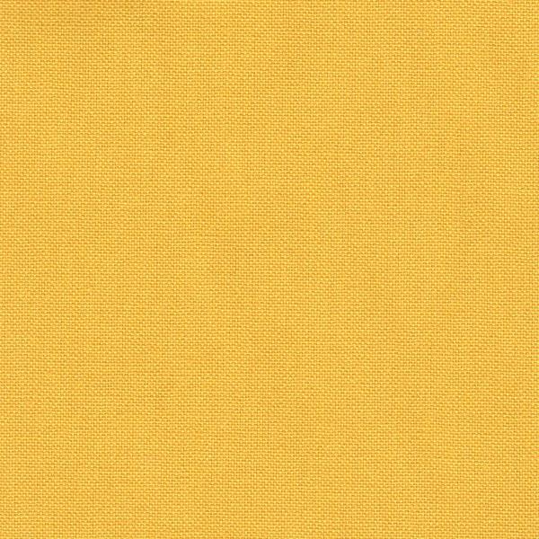 110Z` 11zi͂Ձjn q~i炵jaєz }X^[hn 17F 1mP n z z nv ͂