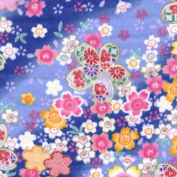 nunontyu_wma60001d