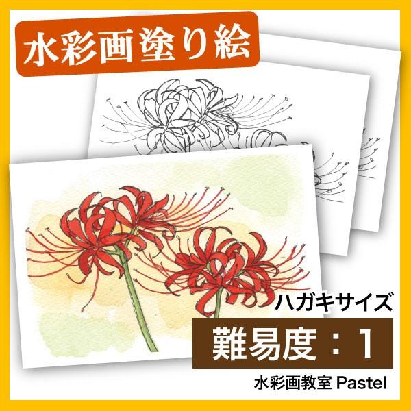彼岸花 色鉛筆絵画 風景画