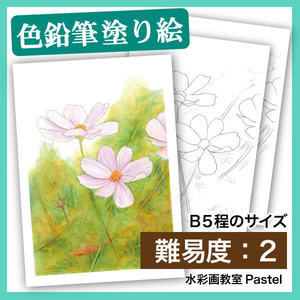 色鉛筆塗り絵 B5 お花 植物画 コスモス B5水彩色鉛筆 2618 水彩ぬり絵通販 通販 Yahoo ショッピング