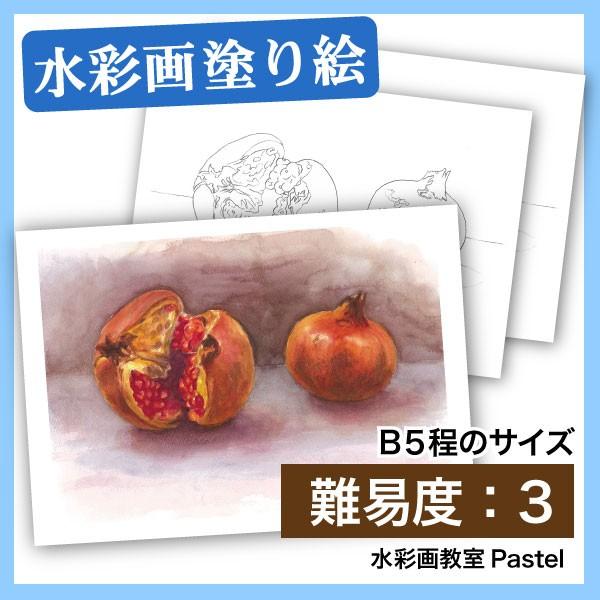 塗り絵 水彩 静物画 ザクロ 3013 水彩ぬり絵通販 通販 Yahoo ショッピング