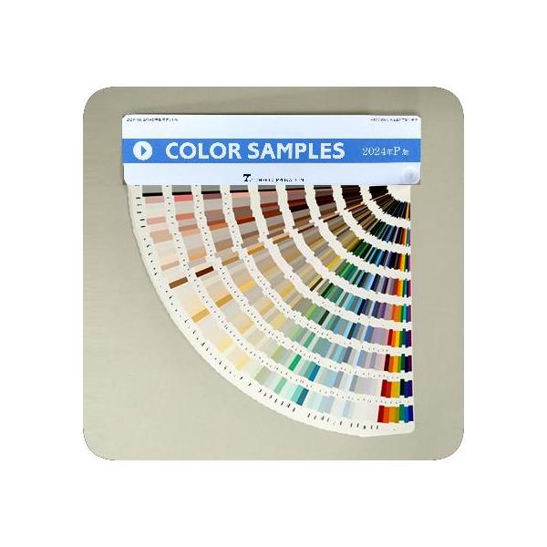 日塗工 色見本帳 P版 2024年(トウペ版) 日本塗料工業会 : ペイント