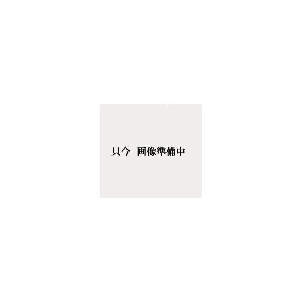 【水系1液型厚膜簡易防水材】　IP　ライトプルーフウレタン　（骨入り）　　20Kg　−　インターナショナルペイント　-　　