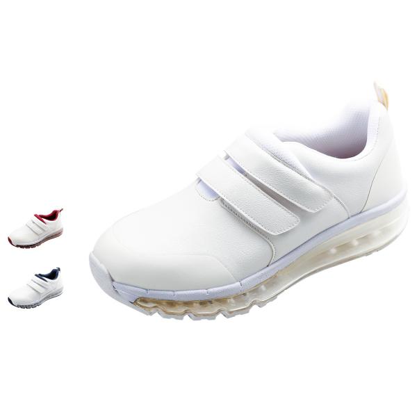 i[XV[Y C  fB[X  Ō  PA 3E 2xgEhGA[V[Y