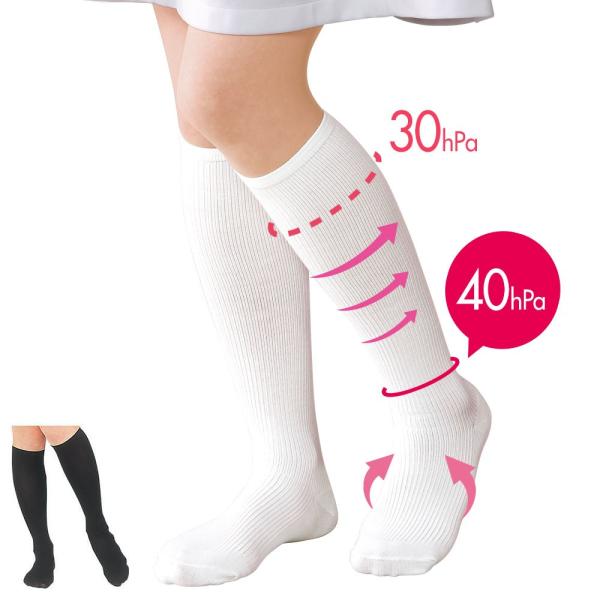 Ōt   C { ȍf     Xr[eB\bNXij