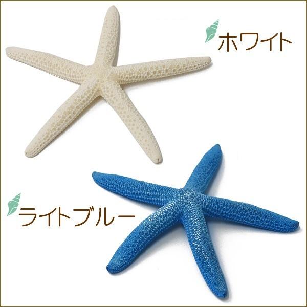 ハワイアン雑貨 スターフィッシュ ヒトデ 貝殻 同色２個セット ディスプレイ 貝 シェル マリン 海 ビーチ 飾り アジアン家具アジアン雑貨nusa 通販 Yahoo ショッピング